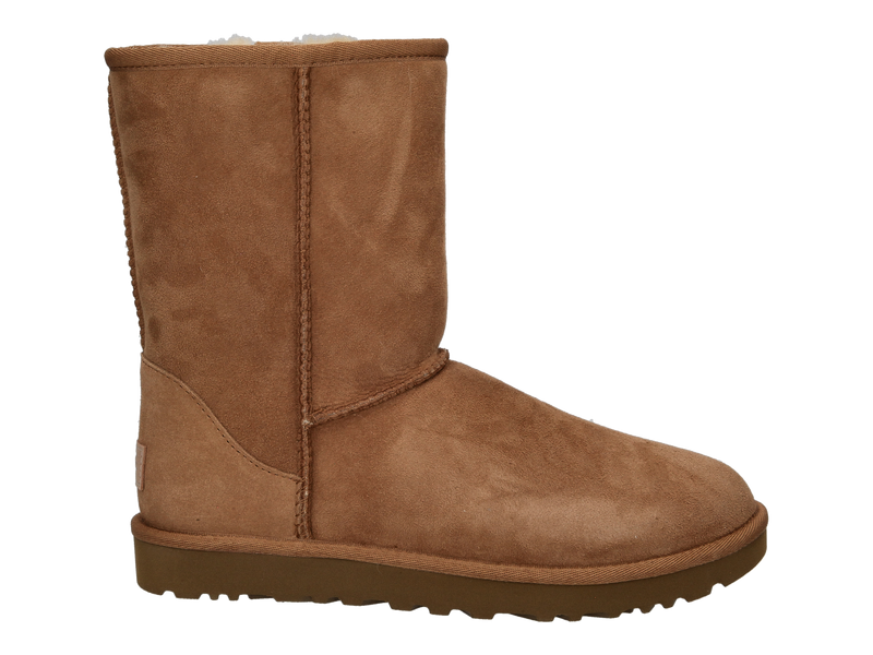 Ugg Boots Cognac